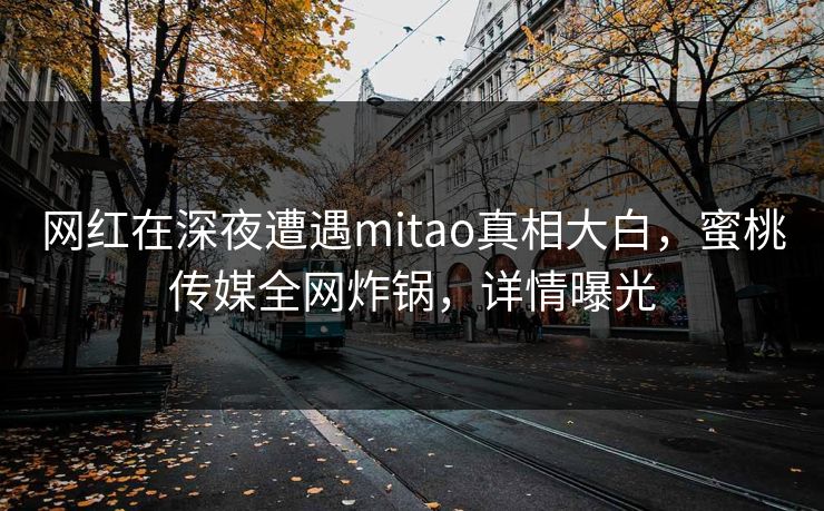 网红在深夜遭遇mitao真相大白，蜜桃传媒全网炸锅，详情曝光