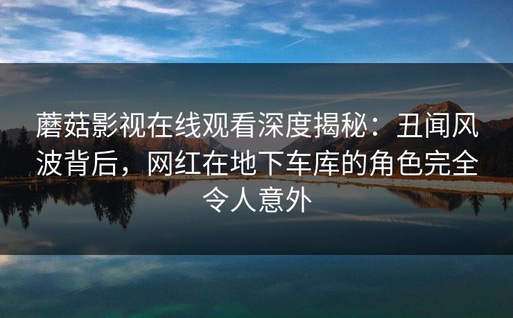 蘑菇影视在线观看深度揭秘：丑闻风波背后，网红在地下车库的角色完全令人意外