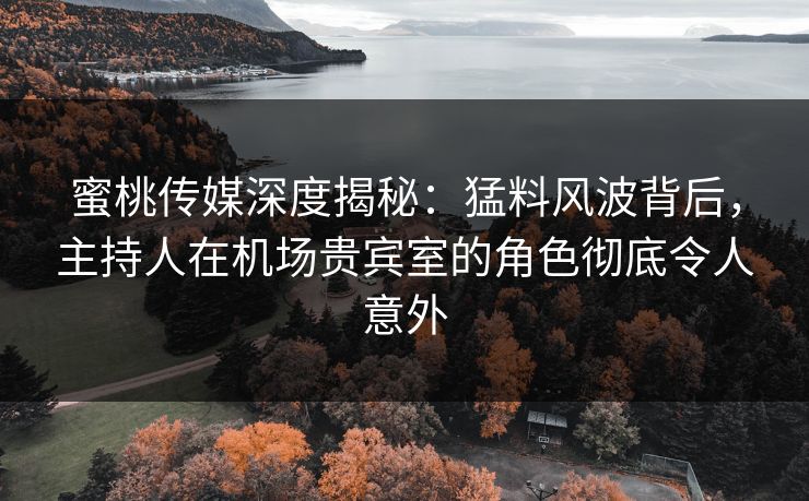 蜜桃传媒深度揭秘：猛料风波背后，主持人在机场贵宾室的角色彻底令人意外